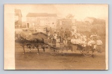 Rppc families horse for sale  High Ridge