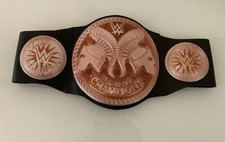 Wwe tag team for sale  FAREHAM