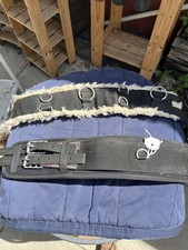 lunging roller for sale lunging roller for sale LLANON