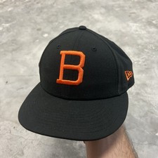 Rare baltimore orioles for sale  Stuart