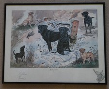Framed black labrador for sale  NEWTON ABBOT