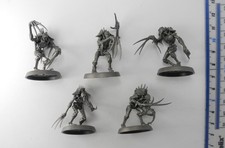 necron flayed ones for sale necron flayed ones for sale HAVERHILL