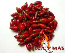 Usado, 30 CHILE PINGUITA DE MONO PERU CHILLI SEEDS SEMILLAS CEVICHE PIPI DE MONO comprar usado  Enviando para Brazil