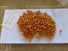 Lot 300 perles d'occasion  Clermont-Ferrand-