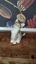 Country artist tiger for sale  HOUNSLOW