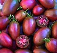 Pomodoro ucraino viola usato  Italia