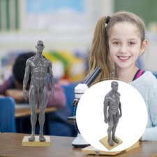 Cranio disegno dell usato  Spedire a Italy