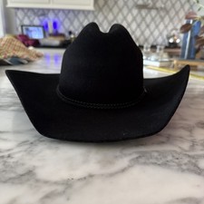 Larry mahan ridgetop for sale  West Union