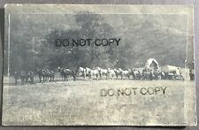 Rppc california horse for sale  Spokane