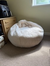 Large adult bean for sale  ALDERSHOT