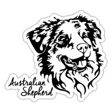 Australian shepherd hund gebraucht kaufen  Leipzig