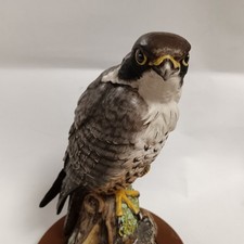 Royal doulton peregrine for sale  WINSFORD