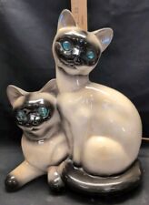 Mcm siamese cat for sale  Scottsdale