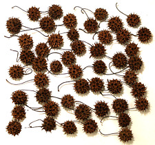 Sweet gum balls for sale  Kenosha