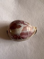 Carved cowrie shell for sale  HARROW