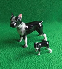 Vintage boston terrier for sale  YORK