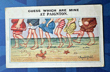Paignton donald mcgill for sale  BROUGH