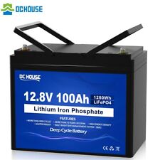 12v 100ah lifepo4 gebraucht kaufen  Bruchsal