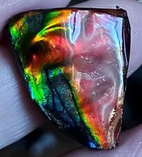 Ammolite ammonite tabletop for sale  MONMOUTH