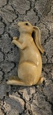 adorable bunnies for sale adorable bunnies for sale Springfield