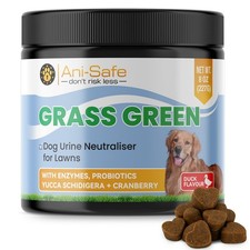 Ani safe green for sale  DONCASTER