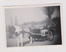 Photo ancienne fillette d'occasion  Bar-sur-Seine