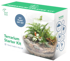 Rootbox terrarium kit for sale  LONDON