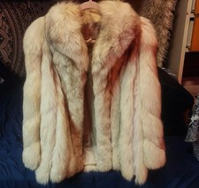 Saga blue fox for sale  Mesa