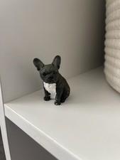 Mini french bulldog for sale Mini french bulldog for sale  CANTERBURY