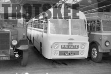 Larger negative alexander for sale  HIGH WYCOMBE