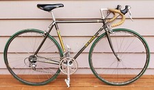 1981 rosa kas for sale  North Bend