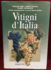 Vitigni italia calderini usato  Roma