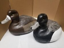 Foam bluebill duck for sale  Oshkosh