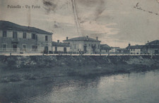 Cartolina polesella rovigo usato  Bologna