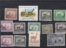 Llama vicuna 13 for sale  HAYLE