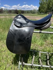 Stubben tristan sale for sale  Basalt