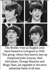 Vinyl beatles albums for sale  Modesto