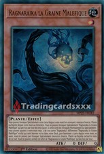 Ragnaraika graine maléfique d'occasion  France