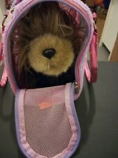 Pucci pups dog for sale  ROTHERHAM