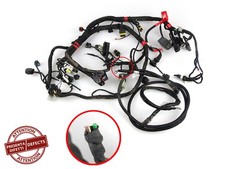 Impianto elettrico abs usato  Cerignola