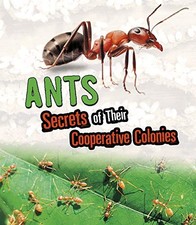 Amazing animal colonies for sale  UK
