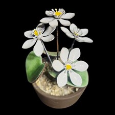 Enamel daisys floral for sale  Marine
