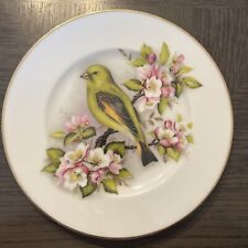 Fenton round bird for sale  LEATHERHEAD