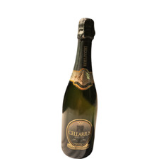 Bottiglia berlucchi brut usato  Torino