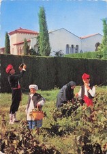 Perpignan sant vicens d'occasion  France