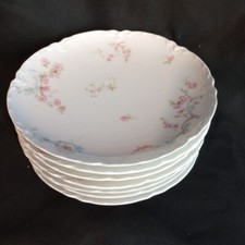 Haviland limoges schleiger for sale  Cincinnati