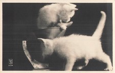 Petit cat weights d'occasion  Expédié en Belgium