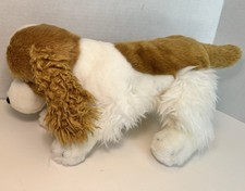 Animal alley cocker for sale  Kaysville