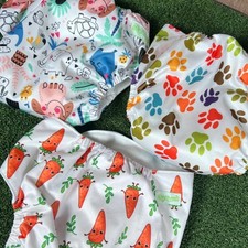 Wegreeco cloth diaper for sale  Round Rock