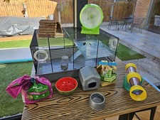 Dwarf hamster mouse for sale  MANCHESTER